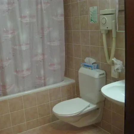 Hotel Kronig 3*